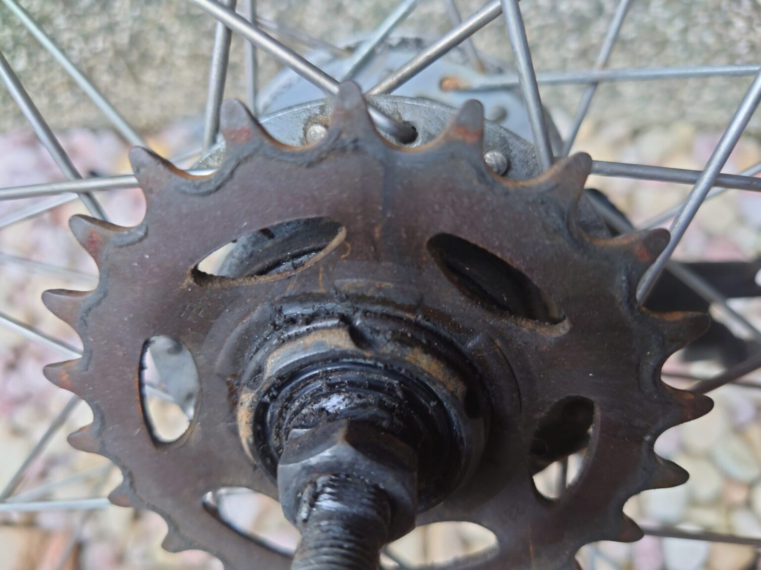 電動アシスト自転車のスプロケット交換 BicycleHobby～バイシクルホビー～